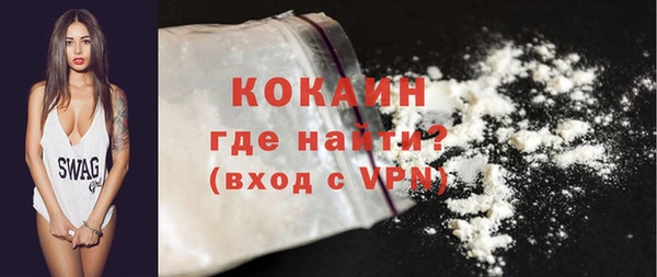 шишки Дмитриев