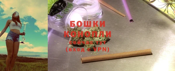 шишки Дмитриев