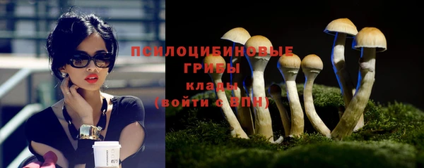 шишки Дмитриев