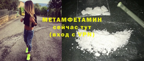 шишки Дмитриев