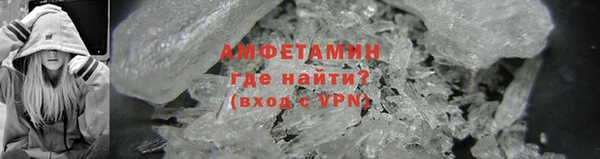 шишки Дмитриев