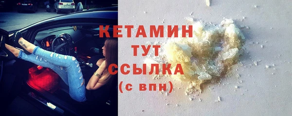 шишки Дмитриев