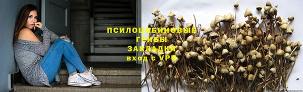 шишки Дмитриев