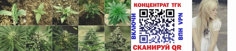 ТГК THC oil  Купить где  Купино 