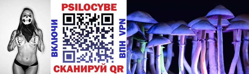 Купить Купино Галлюциногенные грибы мухоморы