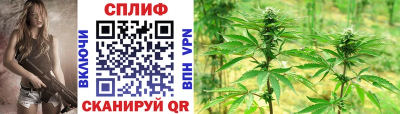 Бошки марихуана Amnesia Купино